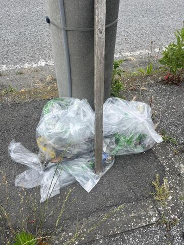「臨海地区清掃」を行いました。